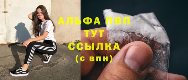 сатива Козловка