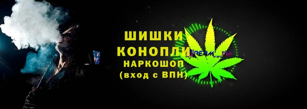 гидра Кодинск