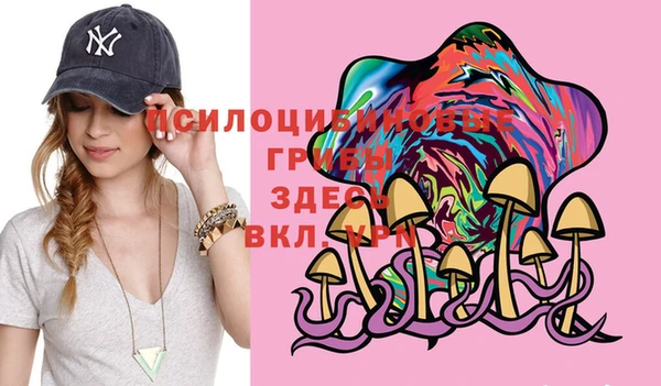 mix Верея
