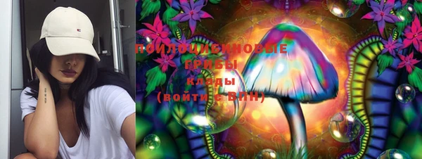 гидра Кодинск