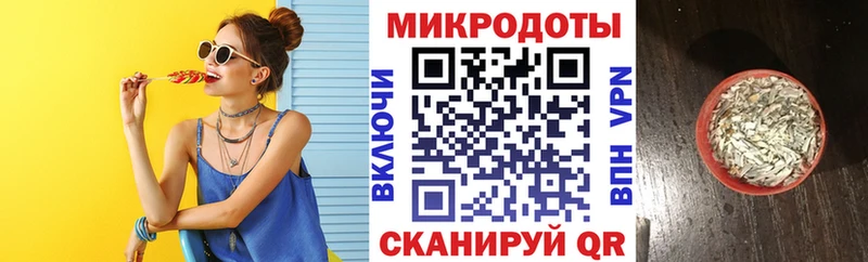 где найти   Зуевка  Галлюциногенные грибы MAGIC MUSHROOMS 